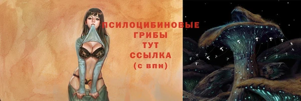прущие крисы Лихославль