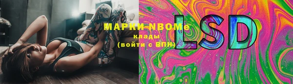 кокс Алагир